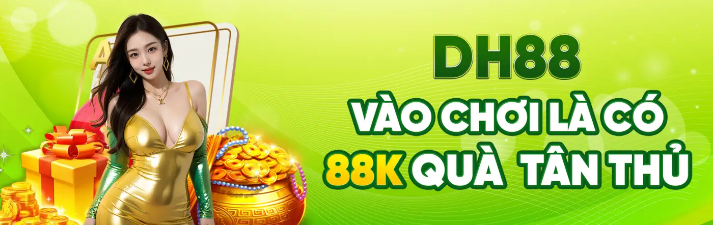 DH88 banner 1