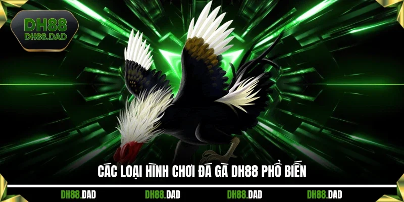 Các loại hình chơi đá gà DH88 phổ biến
