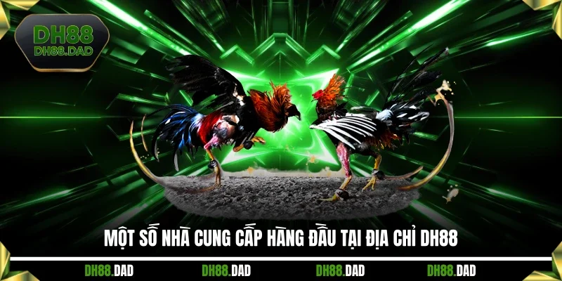 Một số nhà cung cấp hàng đầu tại địa chỉ DH88