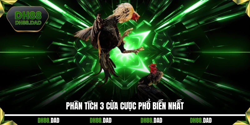 Phân tích 3 cửa cược phổ biến nhất