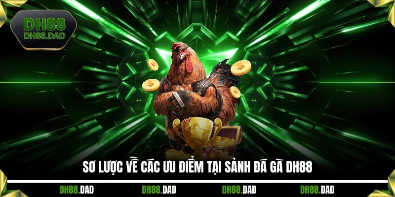 Sơ lược về các ưu điểm tại sảnh đá gà DH88